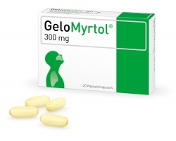 gelo1