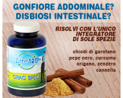 orac-spice2